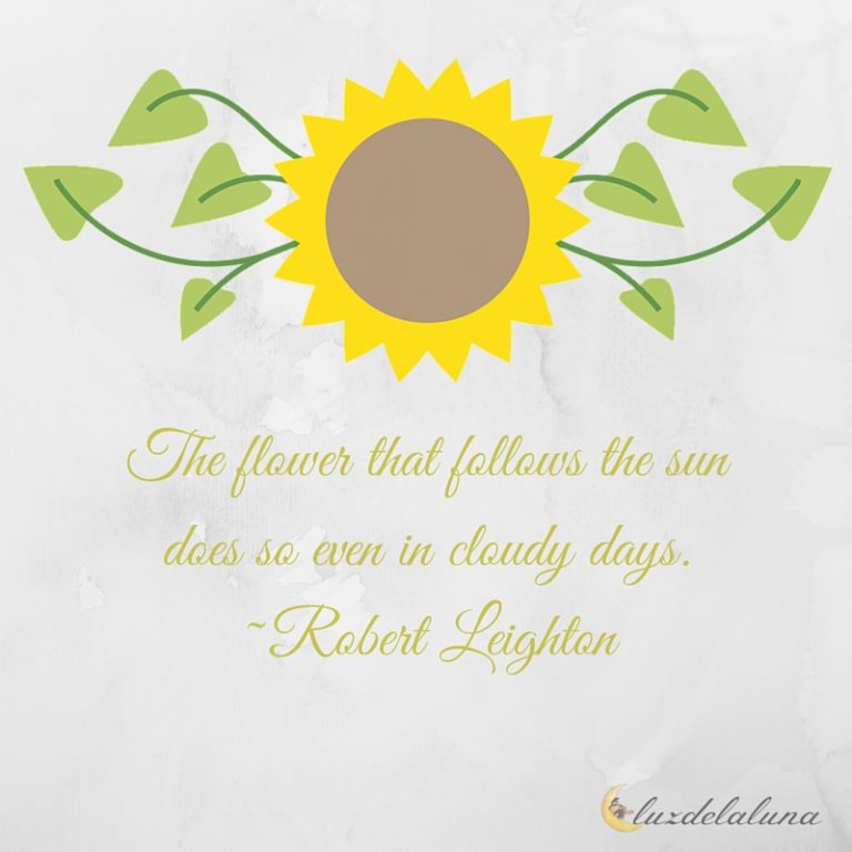 Flower Quotes